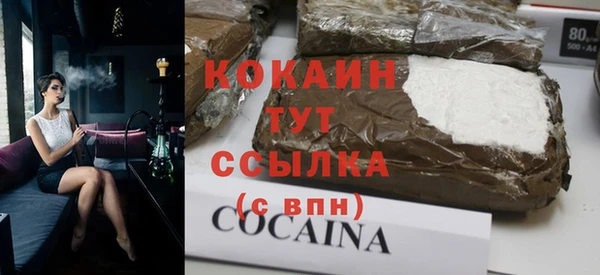 соль ск Новозыбков