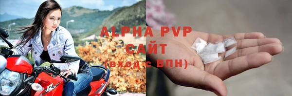 соль ск Новозыбков
