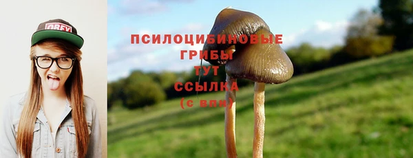 герыч Новокубанск