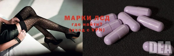 соль ск Новозыбков