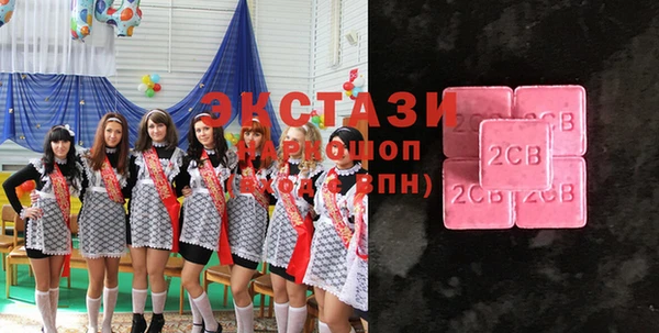 соль ск Новозыбков