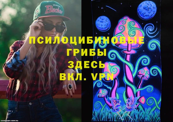 герыч Новокубанск