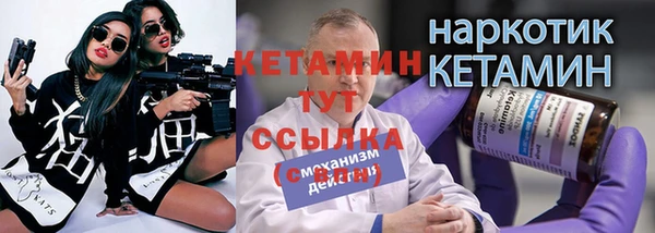 соль ск Новозыбков