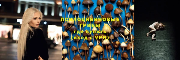 соль ск Новозыбков