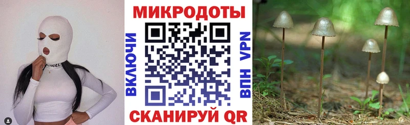 OMG сайт  Тулун  Псилоцибиновые грибы прущие грибы  где продают  