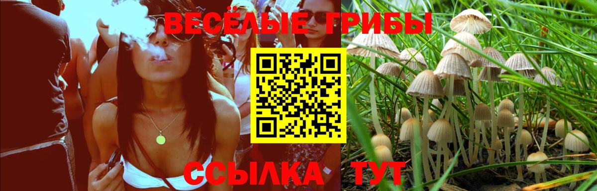 Псилоцибиновые грибы Psilocybine cubensis  Вход с VPN  Галлюциногенные грибы Cubensis  Тулун 